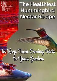 The Healthiest Hummingbird Nectar Recipe Hummingbird Nectar Recipe Hummingbird Nectar Nectar Recipe