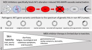 Image result for MEK Inhibitor