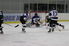 Lake Zurich Hockey Team Back In Business Lake Zurich Il Patch