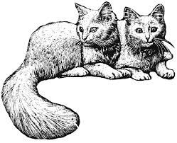 Pin On Pet Clip Art