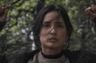 Joe Pickett' Episode 9 Recap: Joe and Marybeth Are On the Run