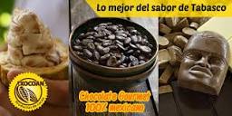 Xocoan Productos de cacao