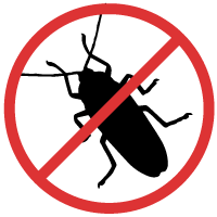 Our technicians will eliminate various types of weeds that pop up throughout the year & keep them from spreading—giving you that. Pest Insect Control Cape Coral Fl All U Need Pest Control