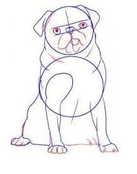 poshagovoe risovanie dlya detej mops uroki risovaniya karandashom dlya nachinayushih kak nauchitsya risovat uchimsya vmeste yozhka kartinki s mopsami mops risunki