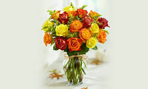 $10 off on orders of $49.99+. 1 800 Flowers Com In Dayton Groupon