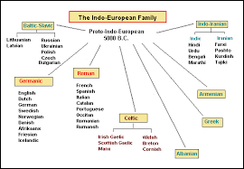 The Indo European Family Compendium Of Language Management In Canada Clmc University Of Ottawa