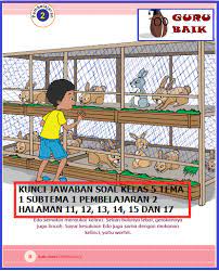 We did not find results for: Kunci Jawaban Soal Buku Siswa Kelas 5 Tema 1 Halaman 11 12 13 14 15 Dan 17 Guru Baik