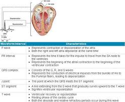 Pin By Max Moua On Nursing School Study Tools Nursing School Problems Nursing School Studying Nurse Life