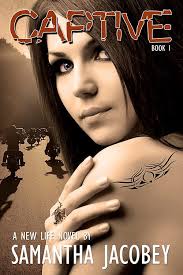 Mystery romance novel