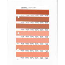 In australia salmon is mostly orange. Pantone 14 1135 Tpg Salmon Buff Replacement Page Fashion Home Interiors