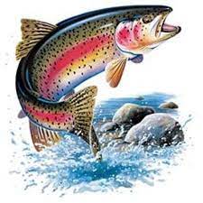 The cookie settings on this website are set to allow cookies to give you the best browsing experience possible. Rainbow Trout T Shirt Jumping Trout Fish Fishing Shirt Etsy Trout Art Trout Painting Fish Drawings