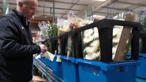 Always on time, farm direct delivery! Dvflora We Deliver Freshness Wholesale Flowers And Floral Supplies