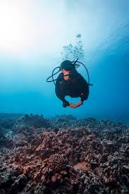 Hawaii has some wonderful diving spots, and having your scuba certification ensures you will be able to get access to most of them. Padi On Twitter What Are Your Goals For 2019 As A Scuba Diver Conservation New Scuba Courses New Destinations Hawaii