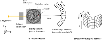 The ideal geometry of such detector materials is also evaluated. Identification Of Amyloid Plaques In The Brain Using An X Ray Photon Counting Strip Detector