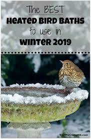 Combination Bird Bath And Feeder The 6 Best Heated Bird Baths To Try This Winter 2020 Heated Bird Bath Feeding Birds In Winter Birds
