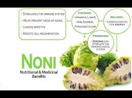 Myrecharge Product S Youtube Noni Fruit Anti Inflammatory Recipes Integrative Health