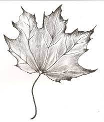 Pin On Fall