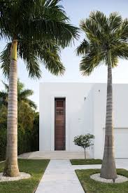Maybe you would like to learn more about one of these? 30 Spectacular Backyard Palm Tree Ideas Home Stratosphere