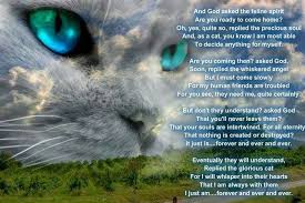 _____ prayer for pets choice: Prayer For Pets Rainbow Bridge The Y Guide
