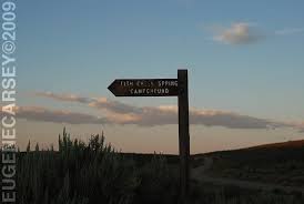 Image result for Little Catnip Spring - Sheldon Refuge Winnemucca NV