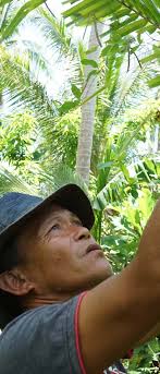 WHEN MICRO GOES MOBILE