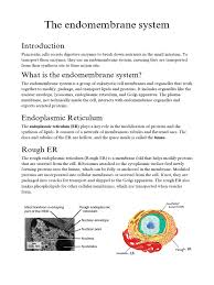 Endomembrane System, Er, Golgi Complex, Lysosomes, Vacuoles