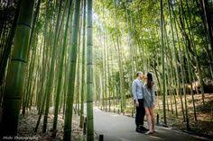 Letto contenitore legno x 【. 37 Ide Prewed Hutan Bambu Foto Perkawinan Fotografi Perkawinan