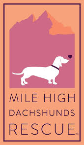 The dachshund rescue colorado springs does not simply just rescue dogs, but they also. Mile High Dachshunds Rescue Inc Home Facebook