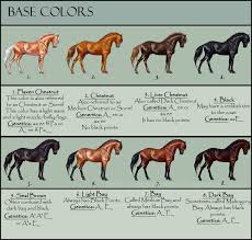 horse color chart blue moon registries