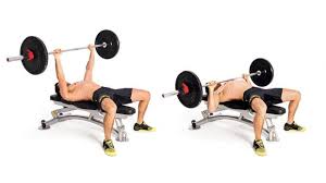 Their strength comes from their construction, which is ordinarily american steel. How To Master The Bench Press Coach Exercise Guides