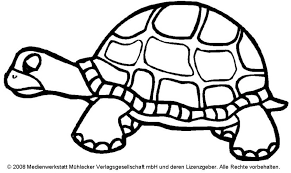 Schildkrötenfamilie Medienwerkstatt Wissen 2006 2017