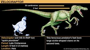 Velociraptor Description Size Diet Facts Britannica