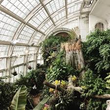 The Schmetterlinghaus The Imperial Butterfly House Is Housed Within An Art Nouveu Palm House In The Ve Glass Green House Butterfly House Victorian Greenhouses