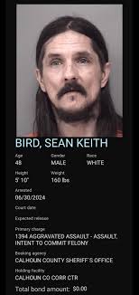 SEAN KEITH BIRD 1394 AGGRAVATED ASSAULT