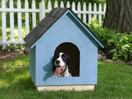 Does this look like the best version of a real dog house? Diy Doghouse How To Build A Simple A Frame Hgtv