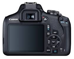 Canon Eos 1500d Photo Review