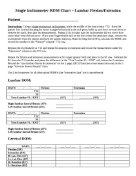 Single Inclinometer Rom Chart Lumbar Flexion Extension Doc