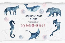 Animals And Stars Collection Constellations Graphic Illustration Watercolor Circles
