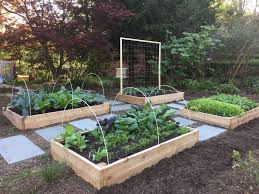 We did not find results for: Why You Should Plant A Front Yard Veggie Garden