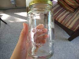You only have to indicate the short deadline and our support team will help pick the best and most qualified writer in your field. 26 Ways To Reuse Glass Pasta Sauce Jars From Aldi Aldi Reviewer