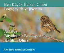 Seda Firat Belli Adli Kullanicinin Oradan Buradan Panosundaki Pin Danca Antalya