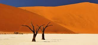 Formerly a colony of germany, namibia was administered by south africa under a league of nations mandate after wwi, and annexed as a province of south africa after wwii. Namibia