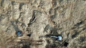 Alice braga nackt Contributors.