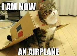100 Funniest Cat Memes Ever Funny Cute Cats Funny Dog Captions Funny Cat Memes