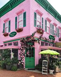 Maybe you would like to learn more about one of these? Pink And Green Corner Store Climbing Roses Fresh Flowers Flower Shop Flowers Roses Pink Flower Shop Pink Paint Nature Photography