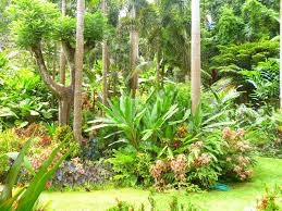 Or trying to get your lawn in shape for spring? Hunte S Garden Barbados Botanisches Meisterwerk Auf Kleinstem Raum My Travelworld