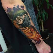 Tatuaz Papuga Znaczenie Historia 30 Zdjec Parrot Tattoo Tattoos Bird Tattoos For Women