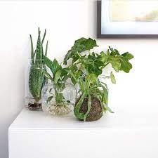 New The 10 Best Home Decor With Pictures Livingwithplants Bigw Target Kmart Scandi Interiordesign Handmade Wall Hangings House Styles Dream Decor