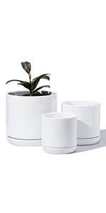 Aqua camel maintains that it works on evapotranspiration so every time. Potey 053109 Plant Pots With Drainage Holes Saucer Glazed Ceramic Modern Planters Indoor Bonsai Container For Plants Flower Aloe Set Of 2 5 1 4 2 Inch Shiny Blue Plants Not Included