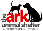 If you are one of those individuals who thinks that the adoption process is too tedious, or that there would be very expensive fees. The Ark Pets Where You Can Find A Friend For Life